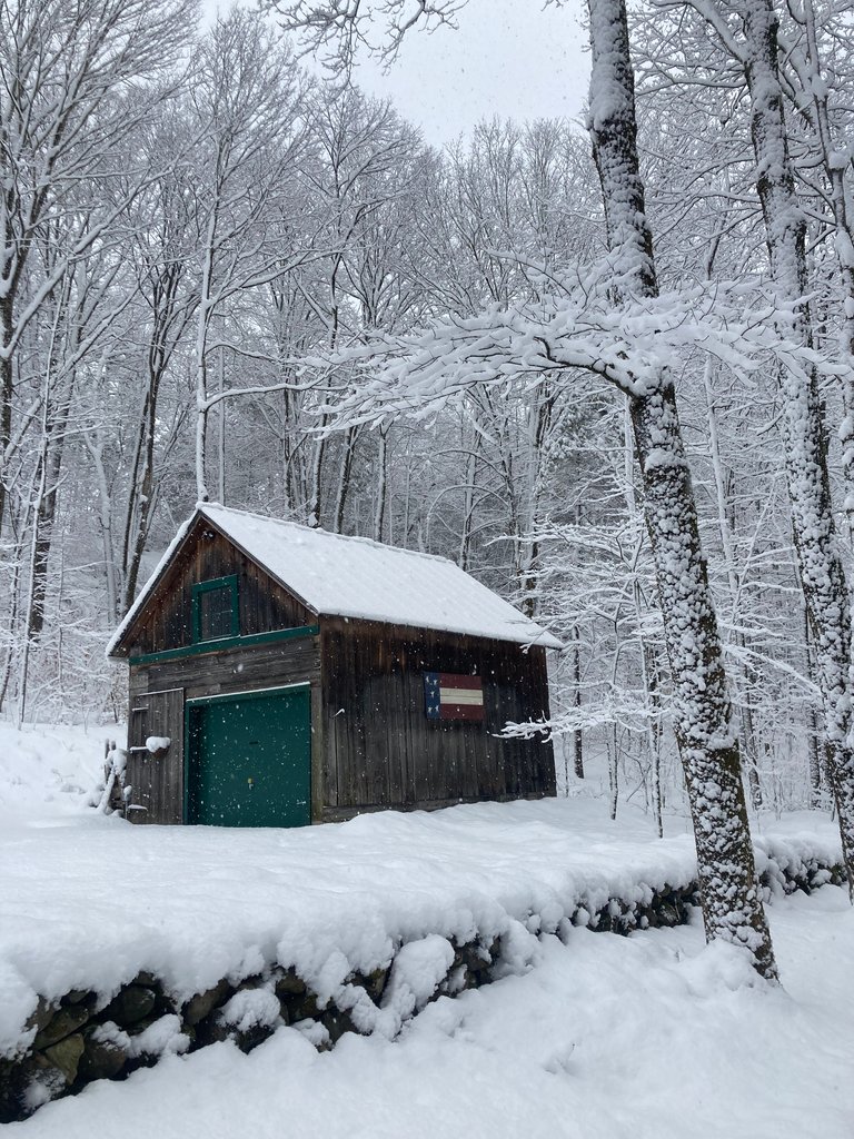 Heavy Snow cover