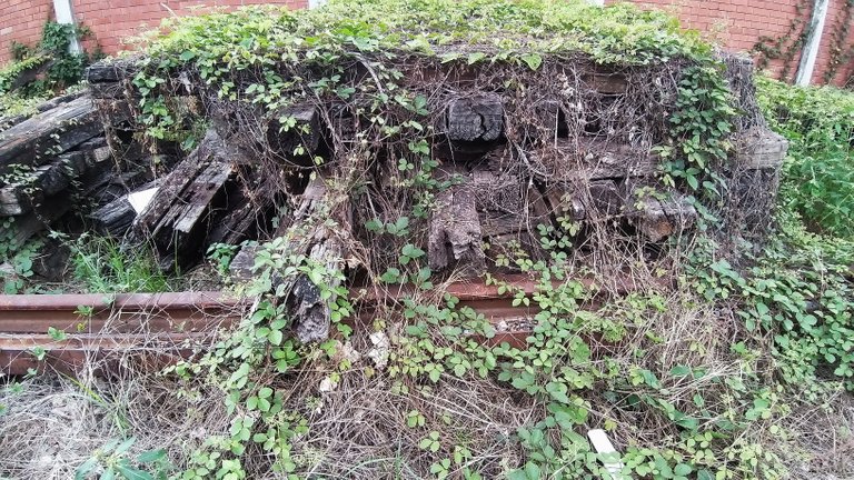 makaasak_train_grave_yard_bangkok_streets_august_2020_420.jpg