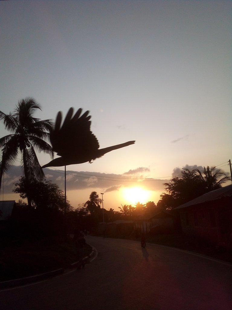 The crow stole the show