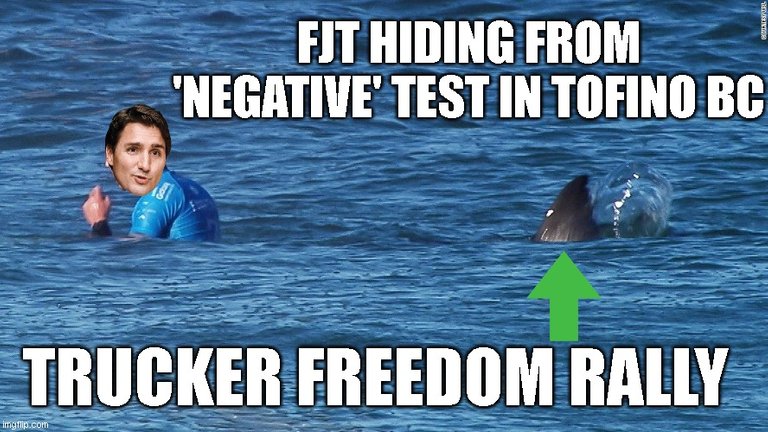 truckershark.jpg