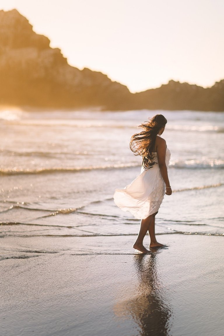ECHOES OF GRATITUDE 