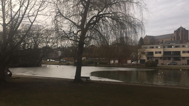 A lake in Hoeilaart,Belgium where my husband dared me to jump in this lake while I was high on Belgian gin