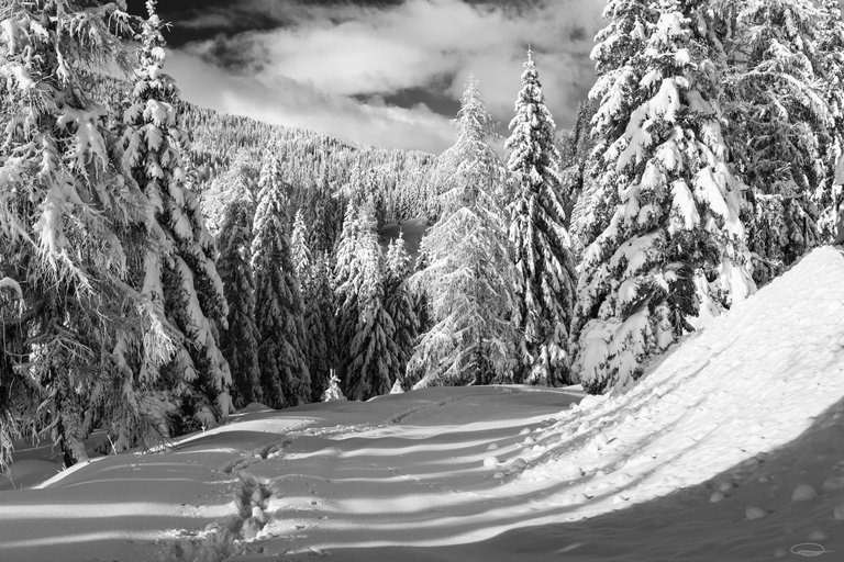 Flattnitz - White and some Black - Winter views from the Road