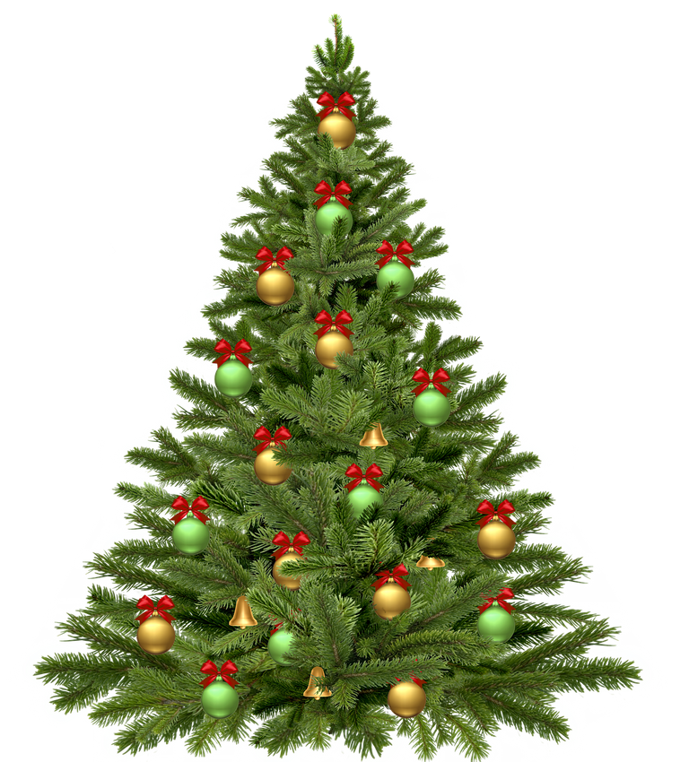 christmas_tree_g85c274703_1280.png