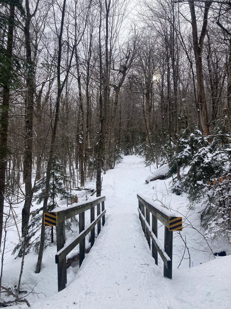 Another bridge