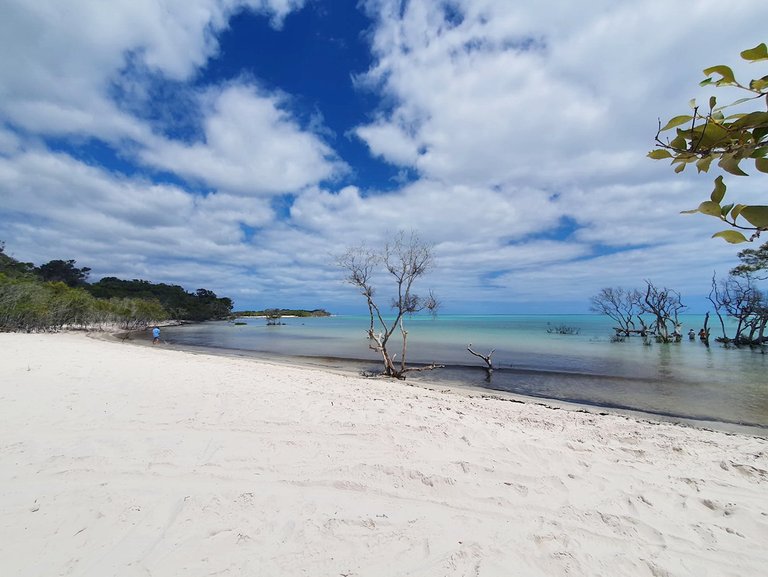 fraser_island_oct_2020_277.jpg