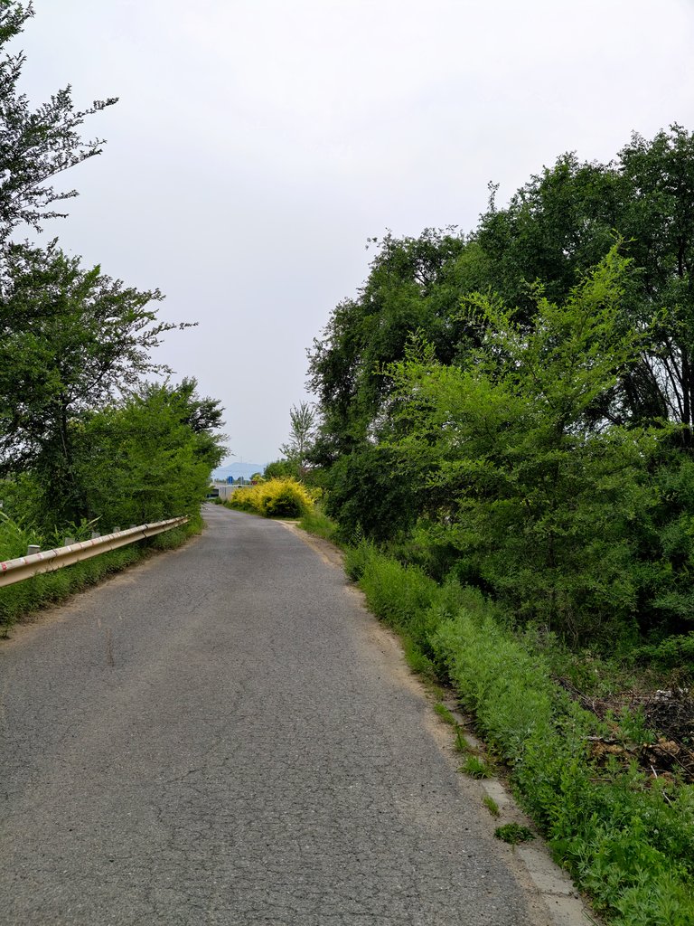 Cycling By The Yanqi River