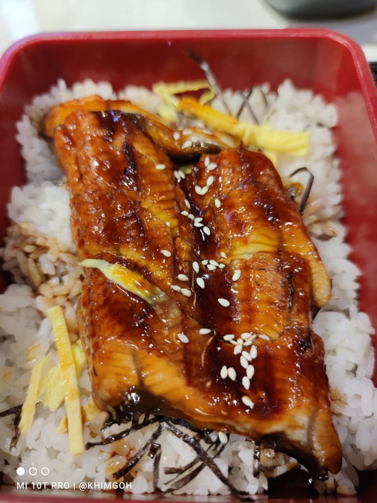 unagi.jpeg