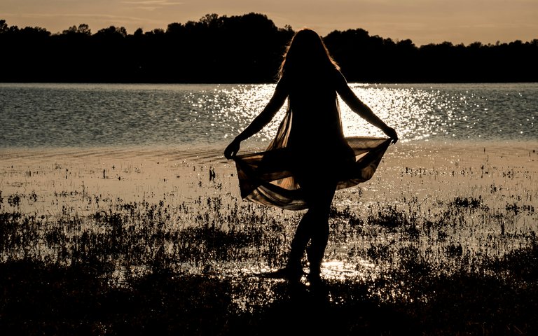 🌅 Silhouettes — the Silent Poetry of Light and Darkness 🌒