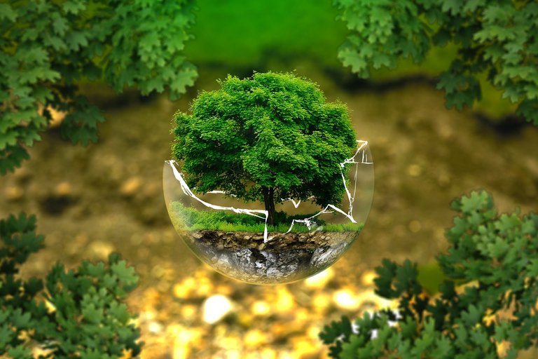 Humanity and environmental awareness: complementing each other