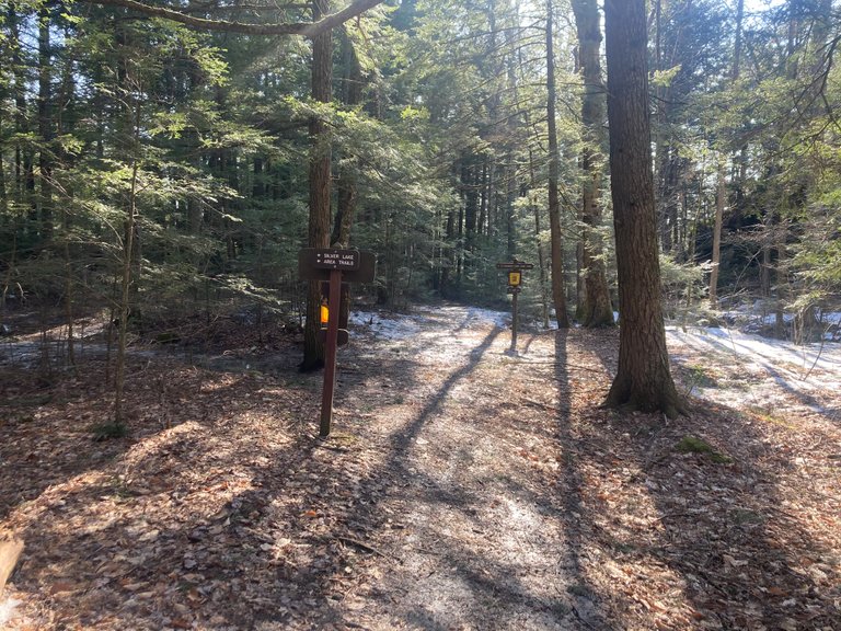 Trail