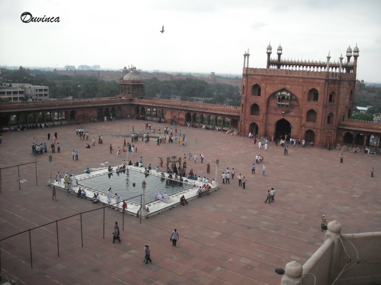 delhi_mezq_1_090.jpg