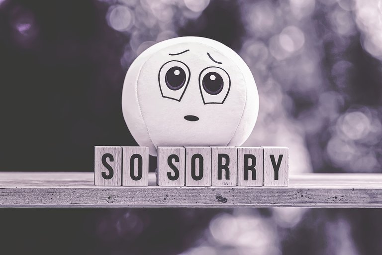 I'm so sorry (image from Pixabay)