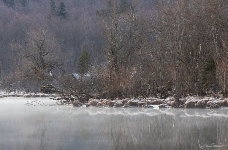 Hive AlphabetHunt Lake Bohinj