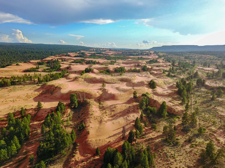 dji_0019lr_2.jpg