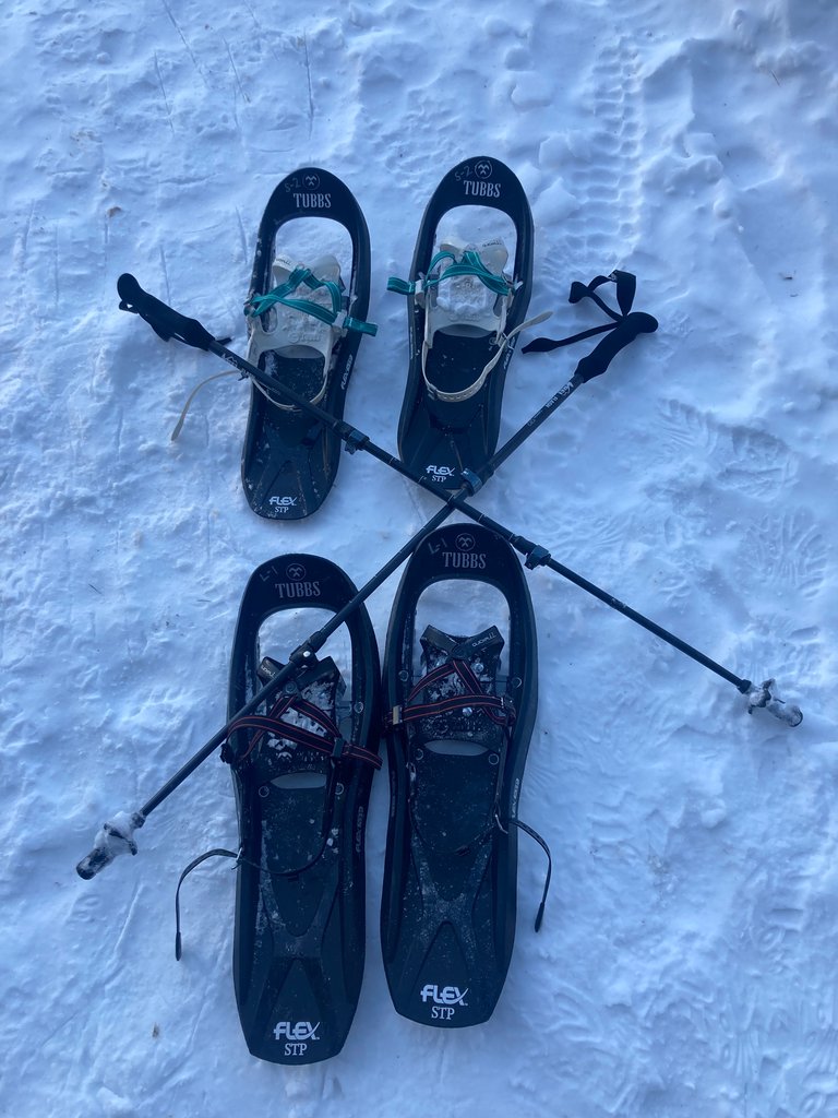 Snow Shoes