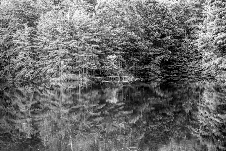 mitchell_hill_lake_reflections.jpg