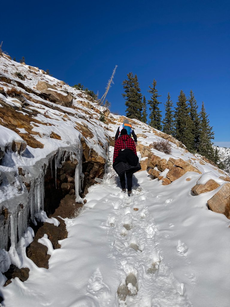 Icy Trail