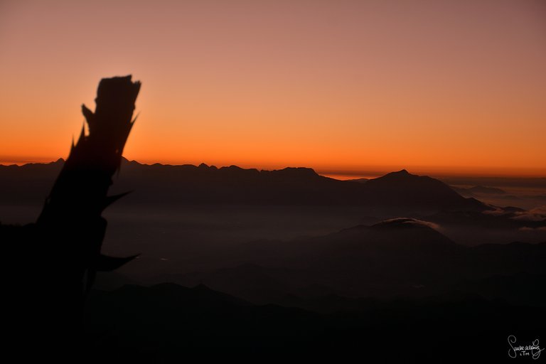sunrise_log.jpg
