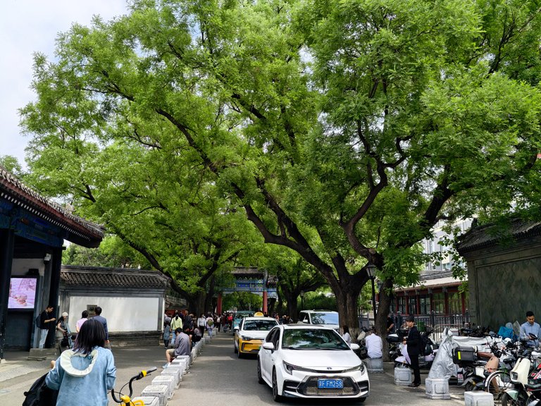 One Of The Best Street In The Old Part Of The Beijing City