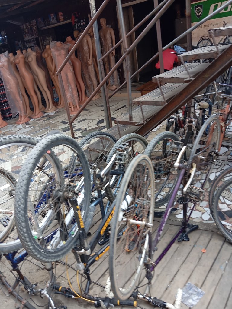 Bicycles store around me