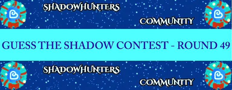👉 Guess The Shadow Contest - Round 49