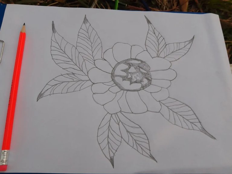 Drawing a flower with rules..