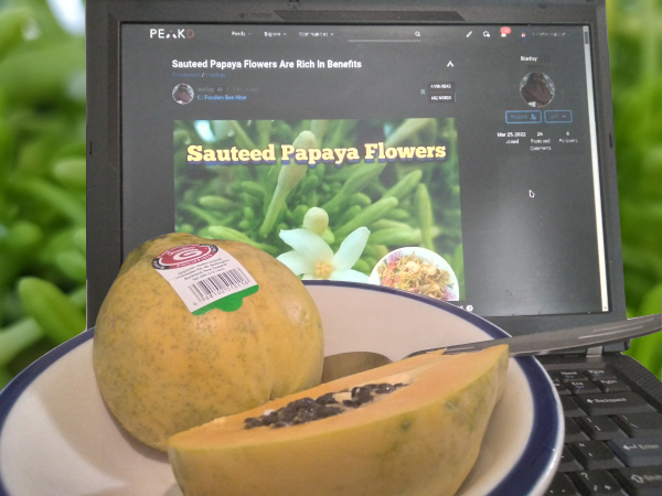 220406_papaya.png