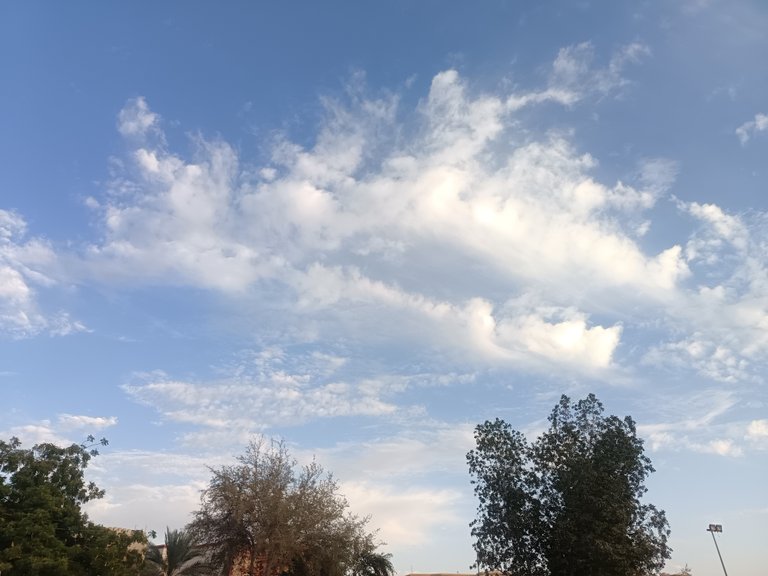 Cloudy sky, from the same park