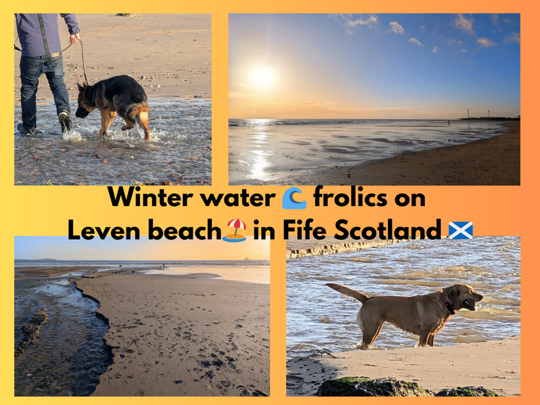 Winter water 🌊 frolics on Leven beach🏖️ in Fife Scotland 🏴󠁧󠁢󠁳󠁣󠁴󠁿