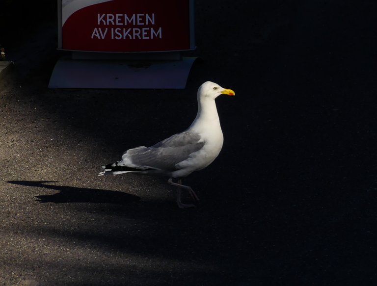 p1280359_edited.jpg