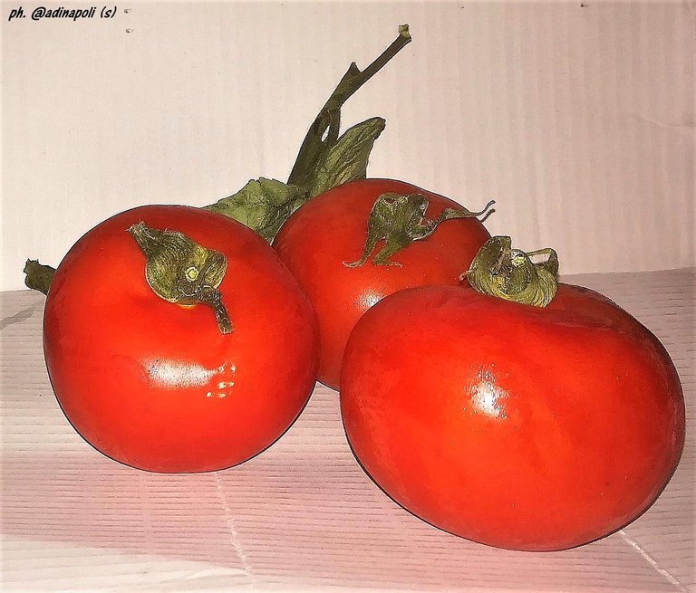 v_vegetables_ortaggi_tomato.jpg