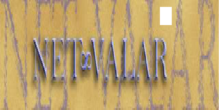 netvalar_banner.png