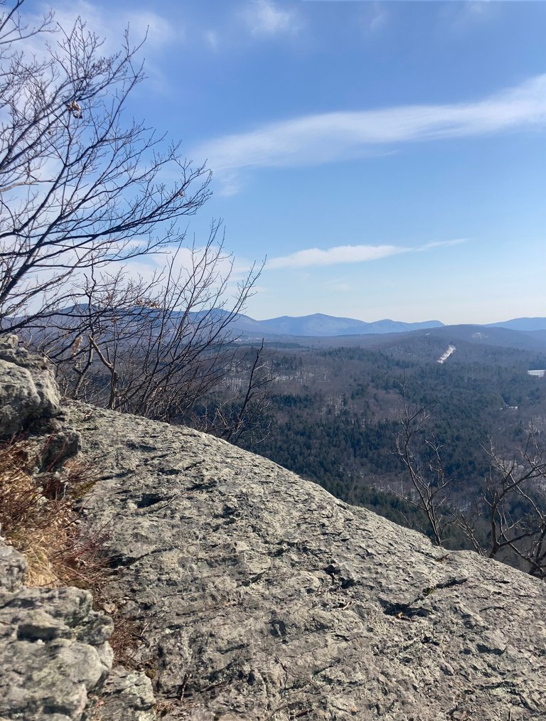 Looking South