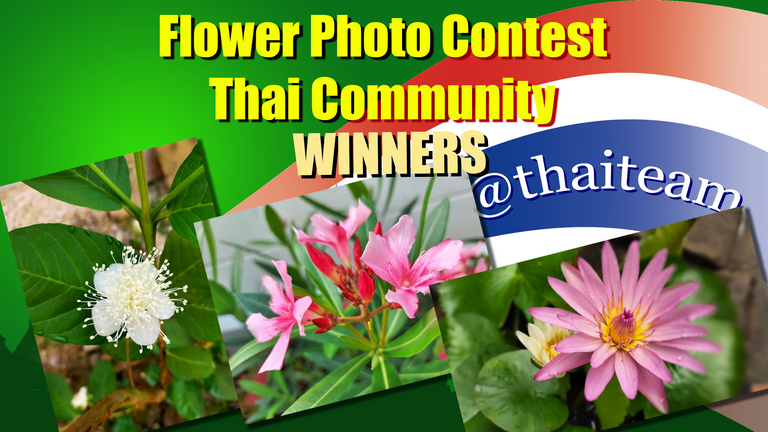 flower_photography_winners_n3_new.png