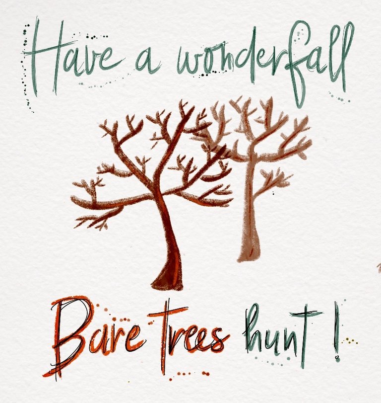 wonderful_bare_trees_hunt.jpg