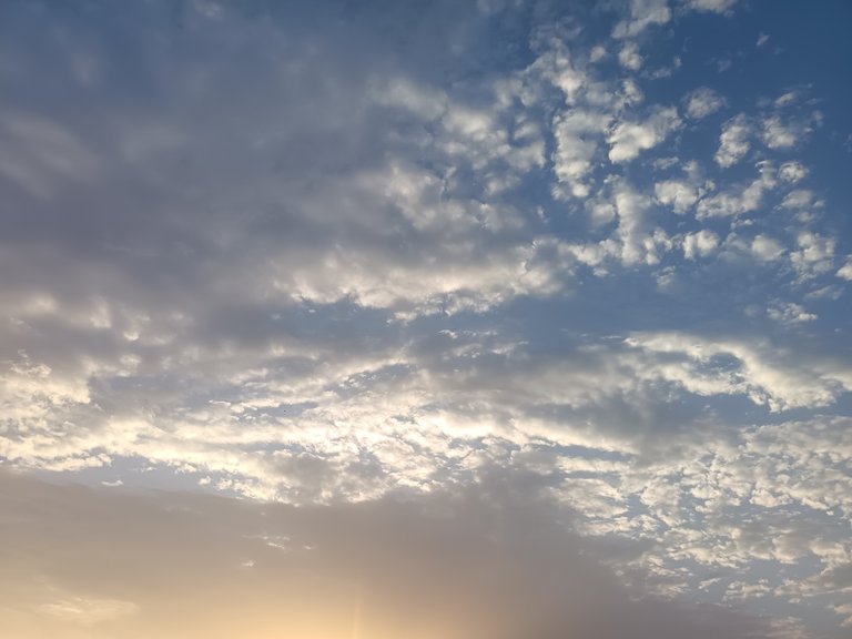Chamber Stories! | Short Diary on Monday | Alive and Thriving on Aug 04, 2025