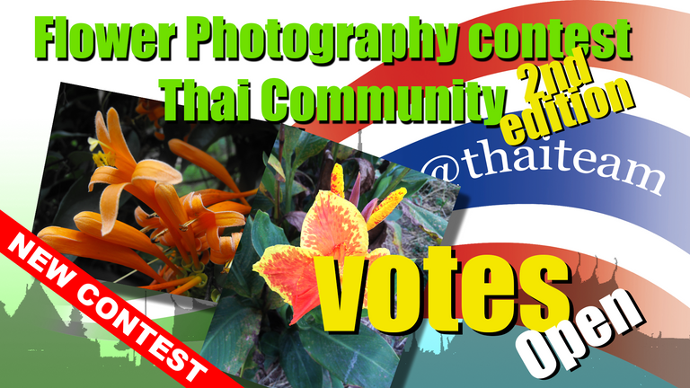 new_contest_flower_votes.png