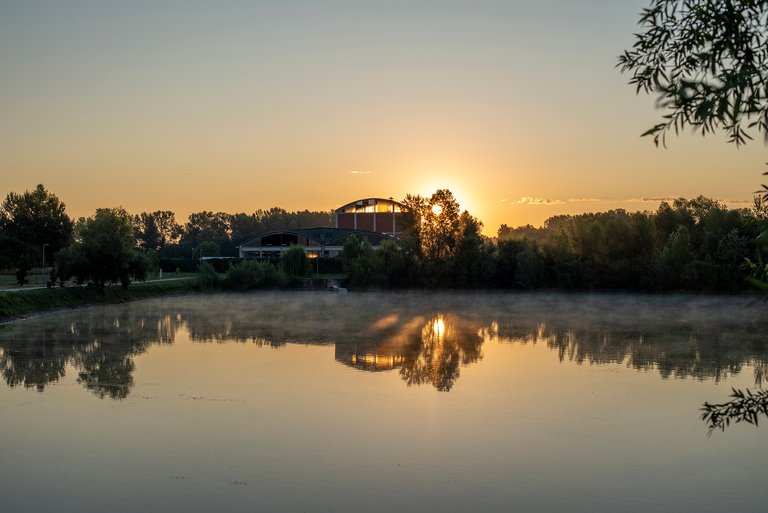 🌅 Sunrise on the Pond 🌿
