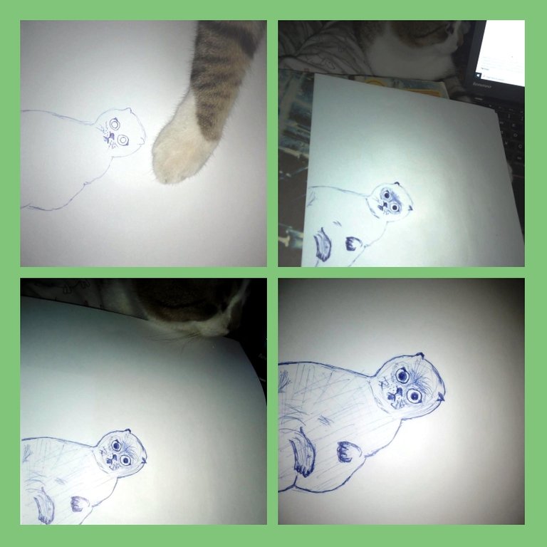 Drawing a cat with my cat