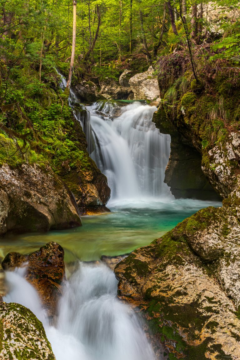 Šunikov vodni gaj, Lepena Valley - Slovenia