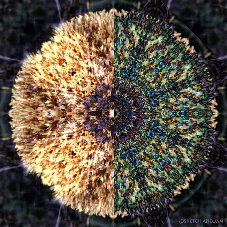 mushroommandala1_copy