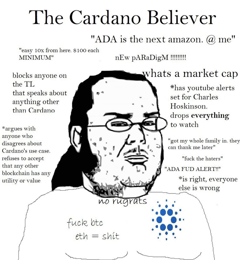 080_cardano_believer.jpg