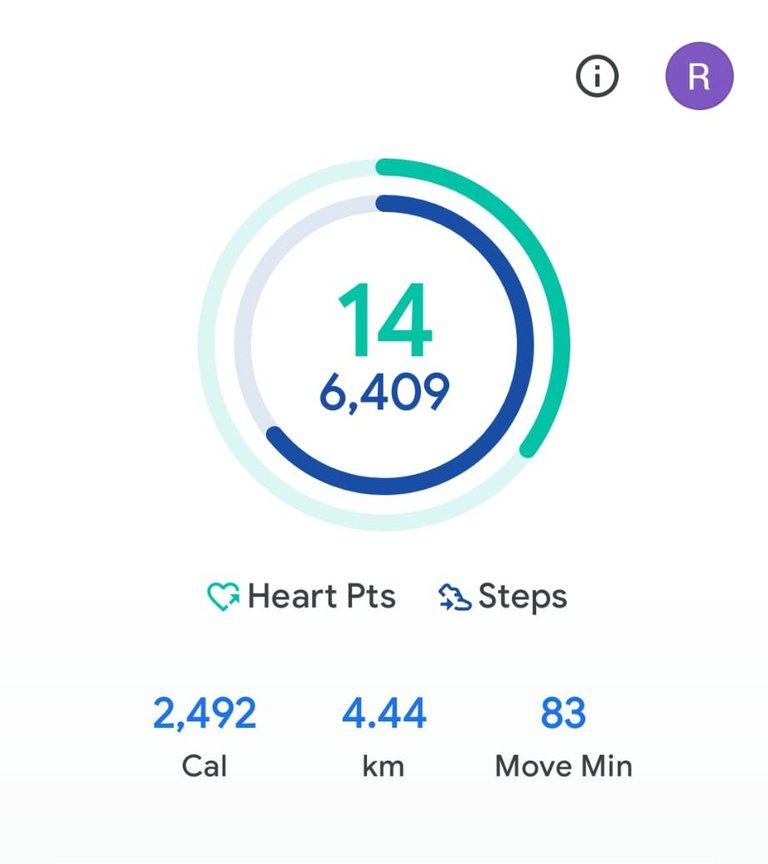 My Daily Activity Report: March 29 2026