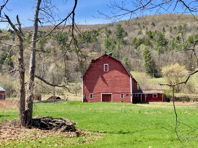 Red Barn 2
