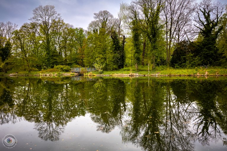 River Spree Reflections