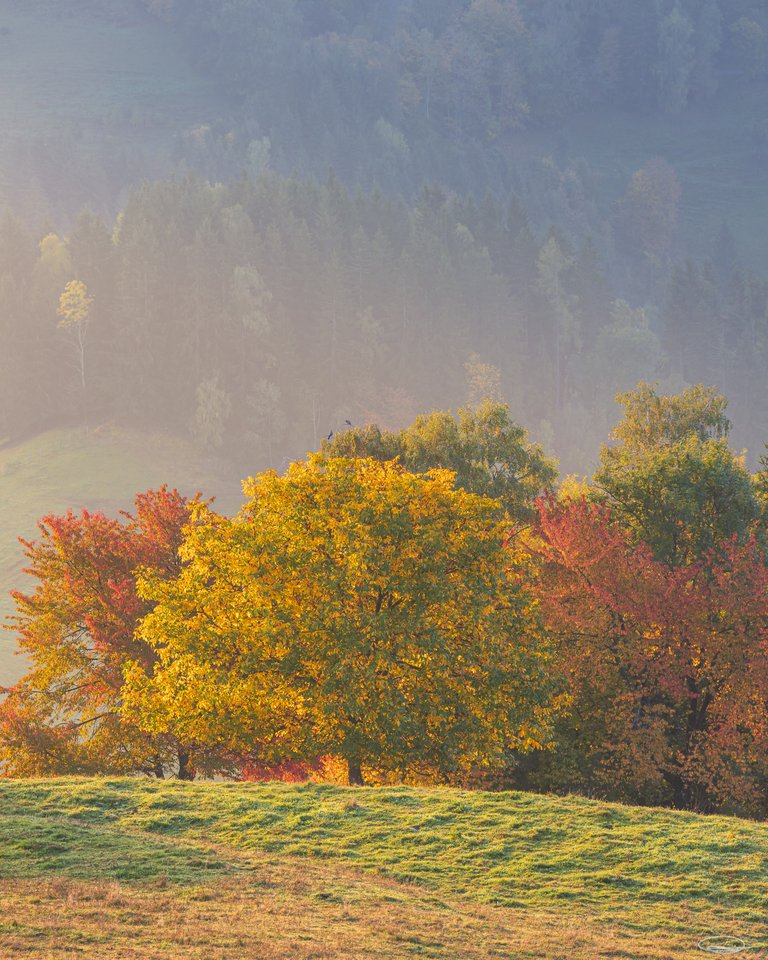 Autumnal Colours - Johann Piber