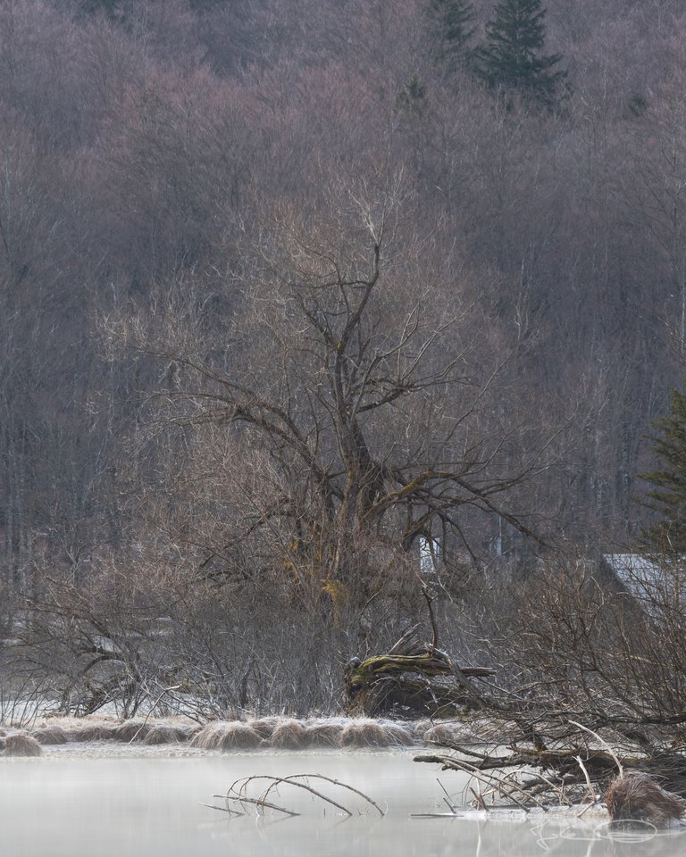 Hive AlphabetHunt Lake Bohinj