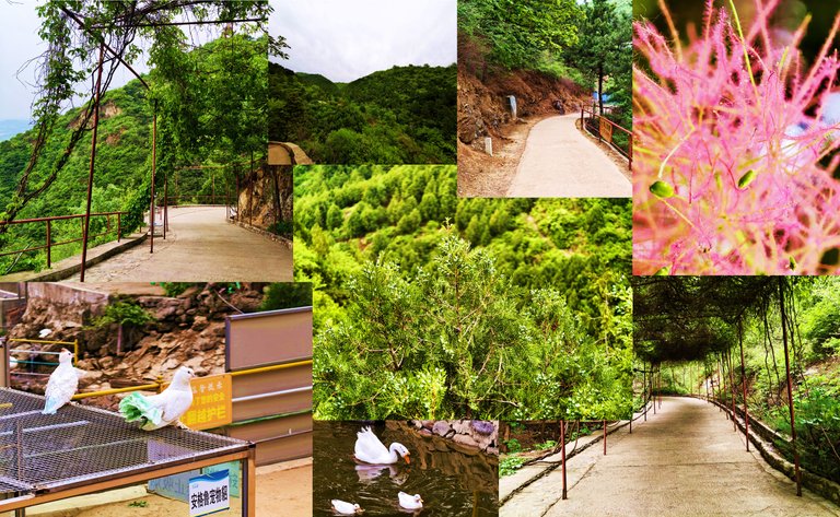 Walking Towards Mountains Through Breathtaking Pathway