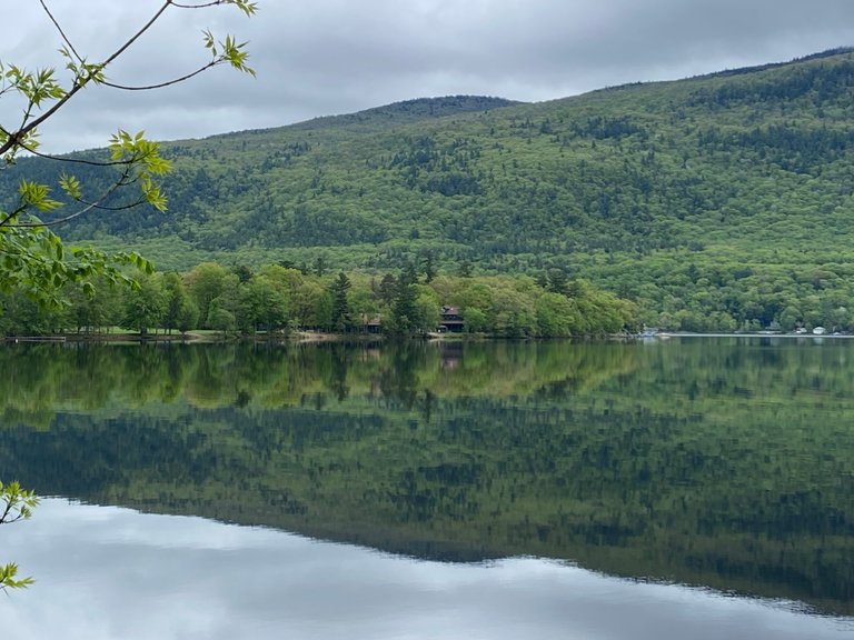 Green reflections